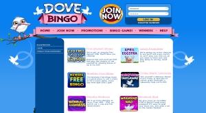 dove bingo promos